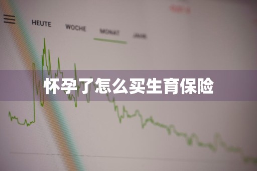 怀孕了怎么买生育保险