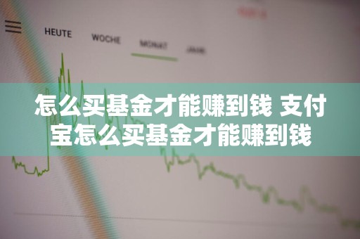 怎么买基金才能赚到钱 支付宝怎么买基金才能赚到钱