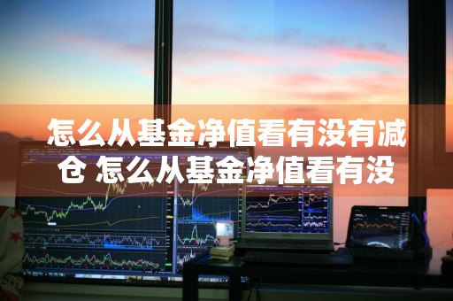 怎么从基金净值看有没有减仓 怎么从基金净值看有没有减仓成功