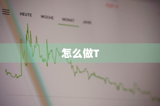 怎么做T