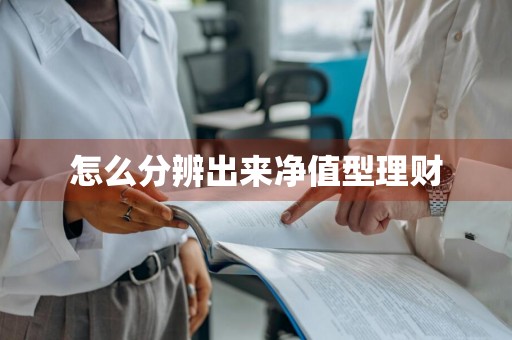 怎么分辨出来净值型理财