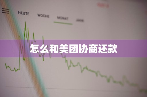 怎么和美团协商还款