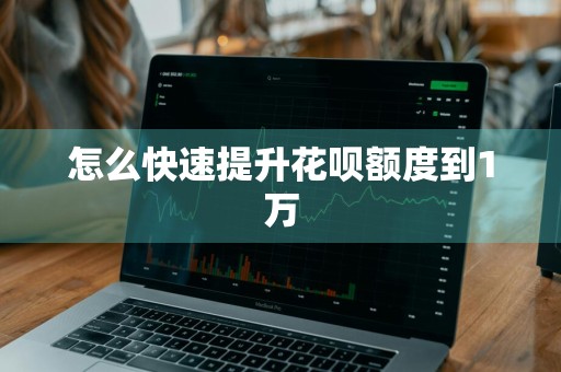 怎么快速提升花呗额度到1万