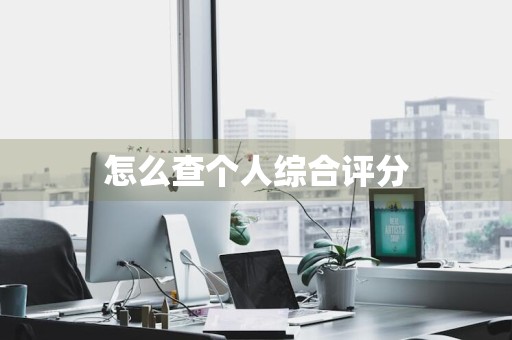 怎么查个人综合评分