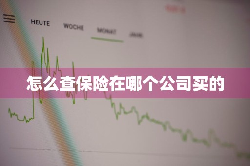 怎么查保险在哪个公司买的