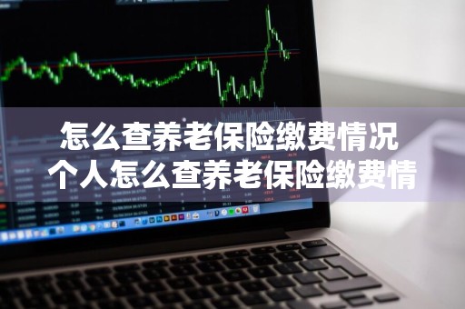 怎么查养老保险缴费情况 个人怎么查养老保险缴费情况