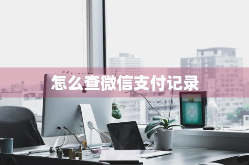 怎么查微信支付记录
