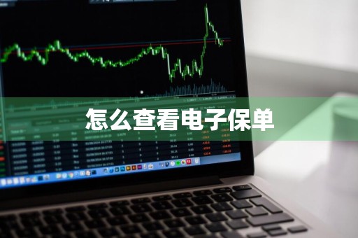 怎么查看电子保单