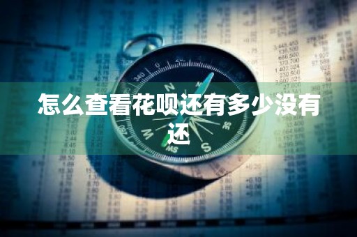 怎么查看花呗还有多少没有还