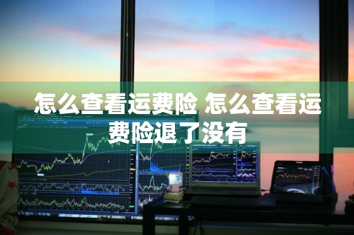怎么查看运费险 怎么查看运费险退了没有
