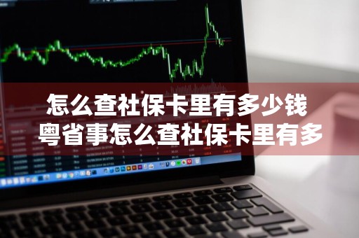 怎么查社保卡里有多少钱 粤省事怎么查社保卡里有多少钱