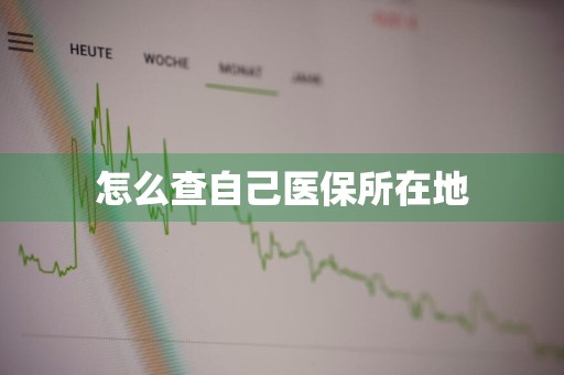 怎么查自己医保所在地