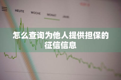 怎么查询为他人提供担保的征信信息