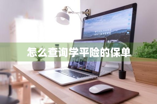 怎么查询学平险的保单