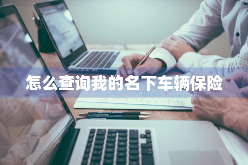 怎么查询我的名下车辆保险
