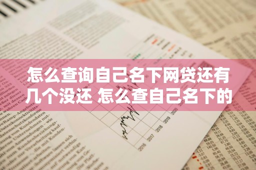 怎么查询自己名下网贷还有几个没还 怎么查自己名下的网贷是否全都还清