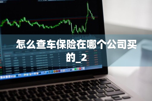怎么查车保险在哪个公司买的_2