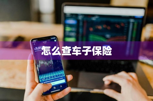 怎么查车子保险