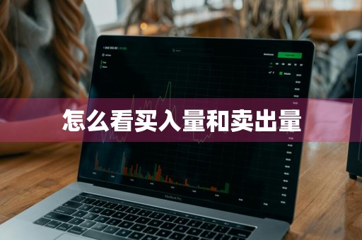 怎么看买入量和卖出量