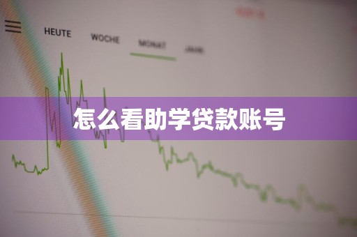 怎么看助学贷款账号