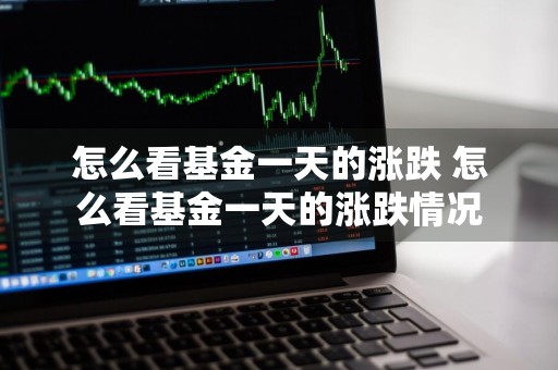怎么看基金一天的涨跌 怎么看基金一天的涨跌情况