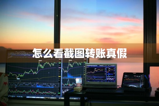 怎么看截图转账真假