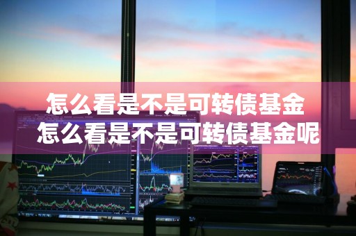 怎么看是不是可转债基金 怎么看是不是可转债基金呢