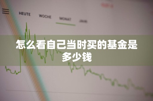 怎么看自己当时买的基金是多少钱