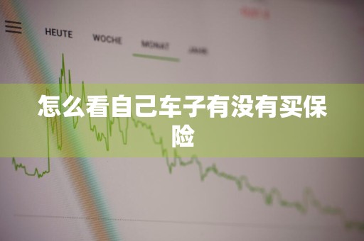 怎么看自己车子有没有买保险
