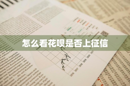 怎么看花呗是否上征信