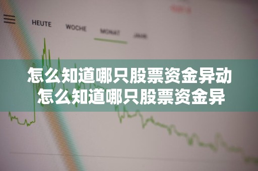 怎么知道哪只股票资金异动 怎么知道哪只股票资金异动了