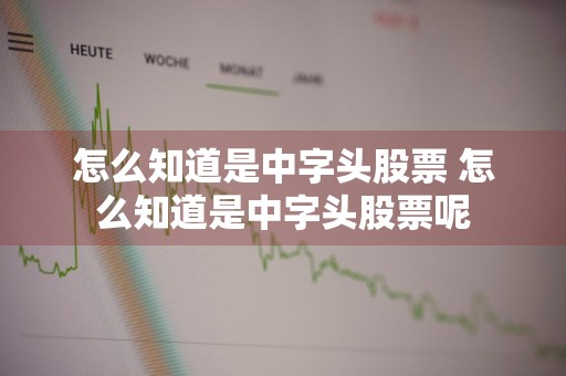怎么知道是中字头股票 怎么知道是中字头股票呢