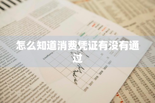 怎么知道消费凭证有没有通过