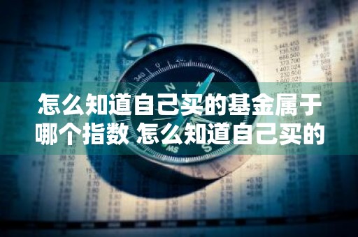 怎么知道自己买的基金属于哪个指数 怎么知道自己买的基金属于哪个指数基金公司