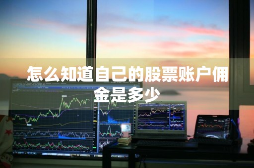 怎么知道自己的股票账户佣金是多少