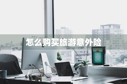 怎么购买旅游意外险