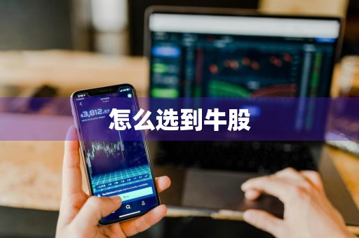 怎么选到牛股