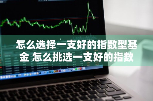 怎么选择一支好的指数型基金 怎么挑选一支好的指数型基金