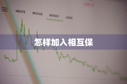 怎样加入相互保
