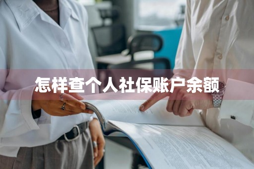怎样查个人社保账户余额