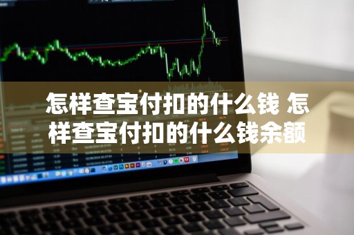 怎样查宝付扣的什么钱 怎样查宝付扣的什么钱余额