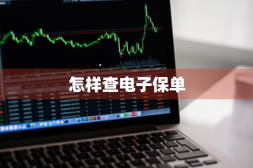 怎样查电子保单