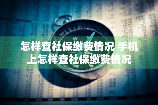 怎样查社保缴费情况 手机上怎样查社保缴费情况