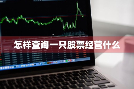 怎样查询一只股票经营什么