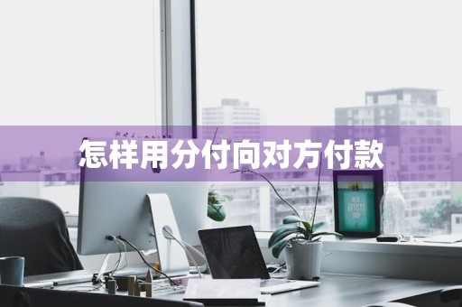 怎样用分付向对方付款