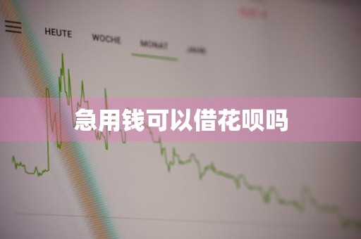 急用钱可以借花呗吗