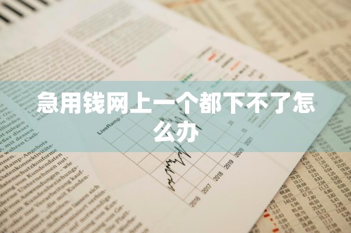 急用钱网上一个都下不了怎么办