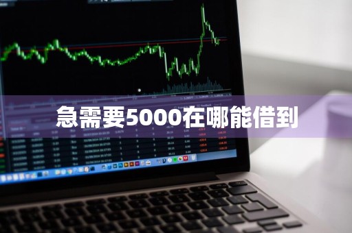 急需要5000在哪能借到