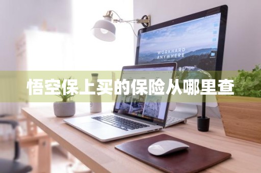 悟空保上买的保险从哪里查
