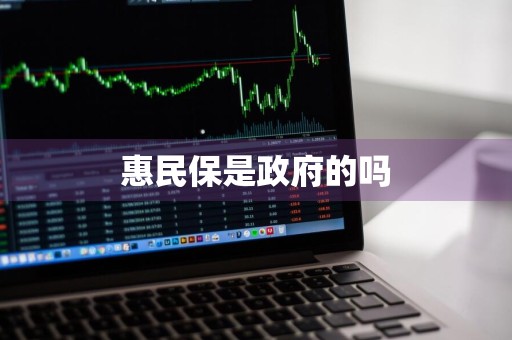 惠民保是政府的吗